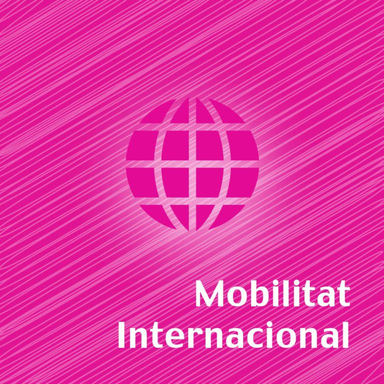 Mobilitat Internacional