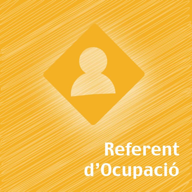 Referent d'Ocupació Juvenil