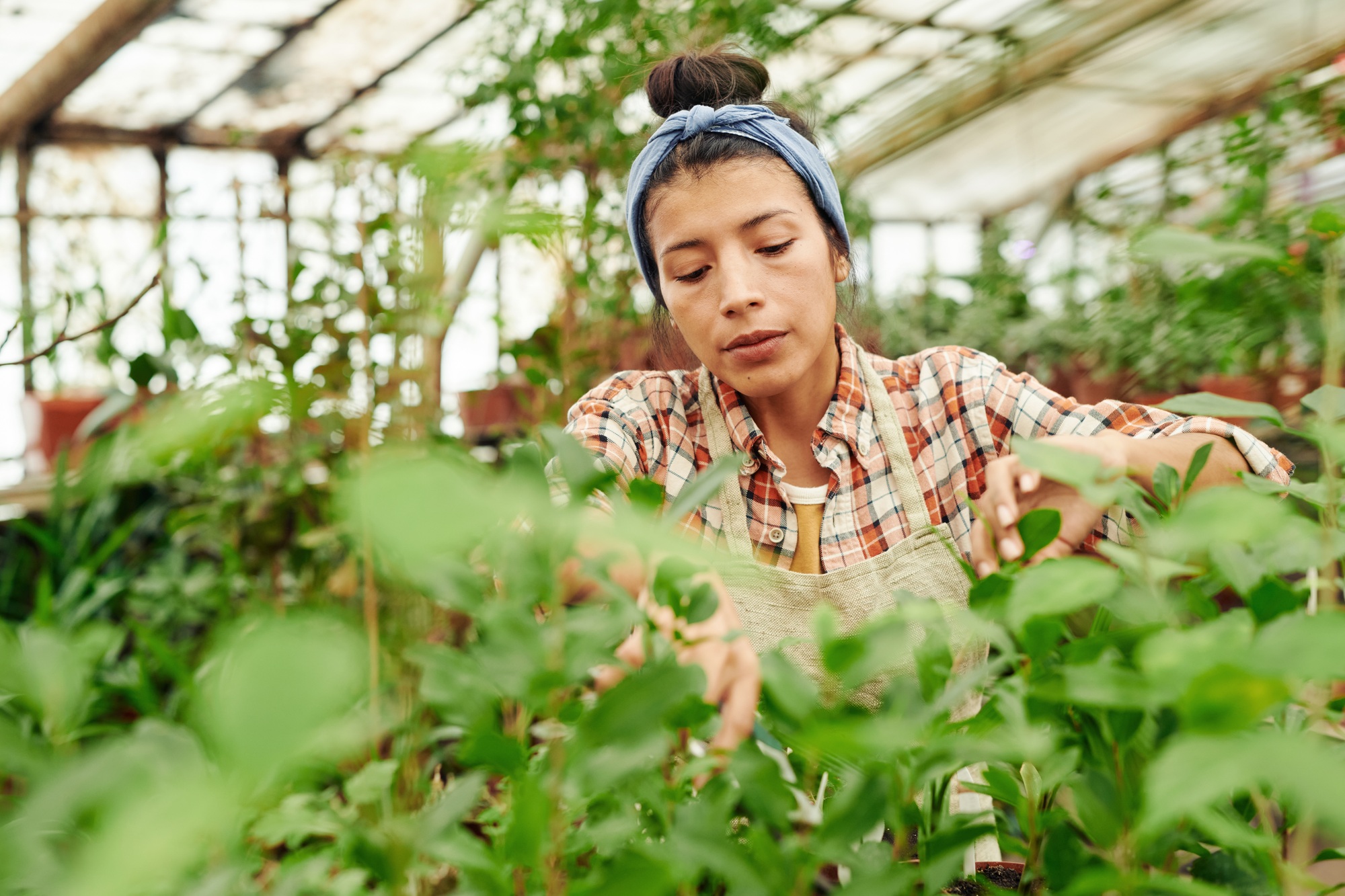 Young Woman Working With Plants